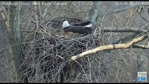 Hays Eagles Mom has company in the basement hanging out 2020 03 08 534pm
