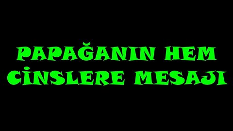 PAPAĞANIN HEM CİNSLERE MESAJI