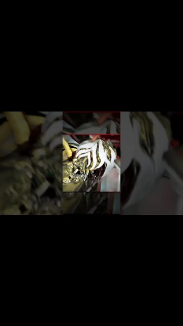 Warframe Quit Knocking Me Over!