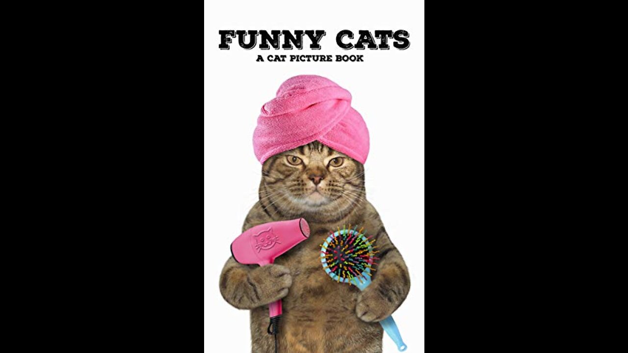 baby cat funny video