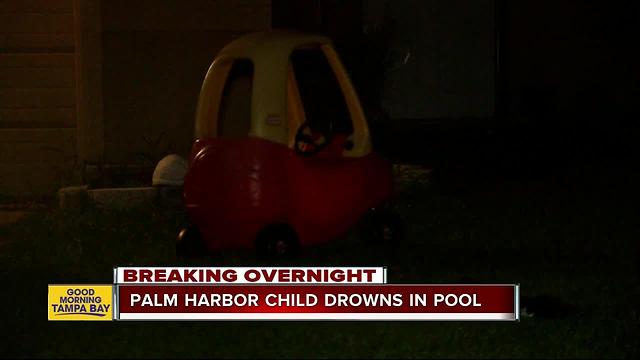 2-year-old Palm Harbor boy drowns in neighbor’s pool