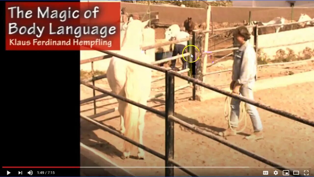 Evaluating & Discussing Klaus Hempfling Working With A Stallion - Explaining Horse Language - Part 2