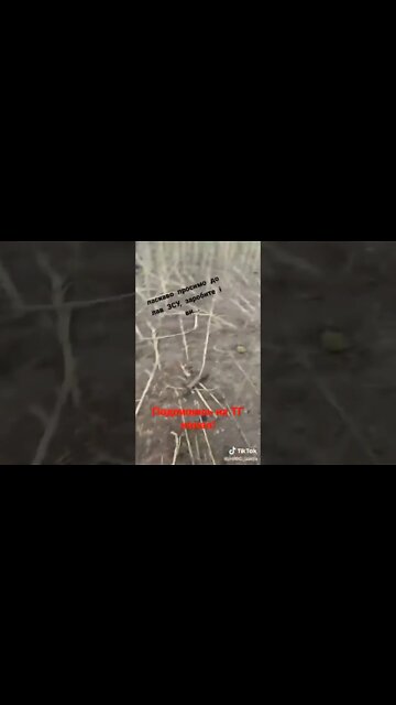 DESTROYED POLISH SAU CRAB