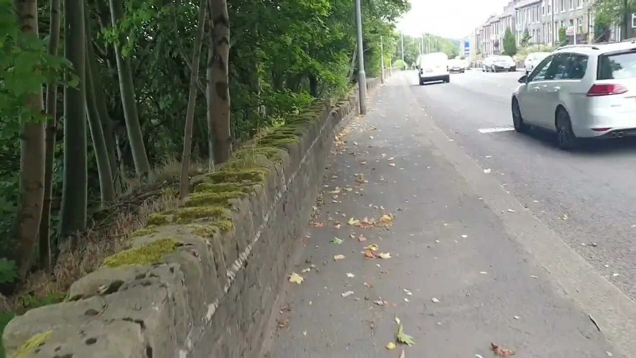 Quick Friday Walk