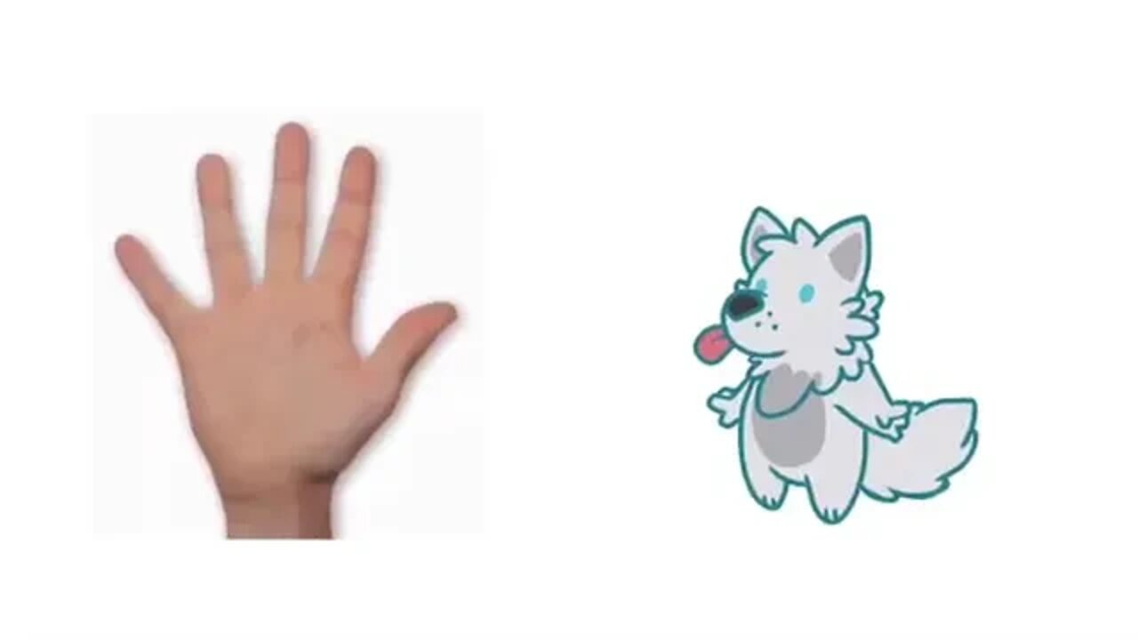 How to pet a furry