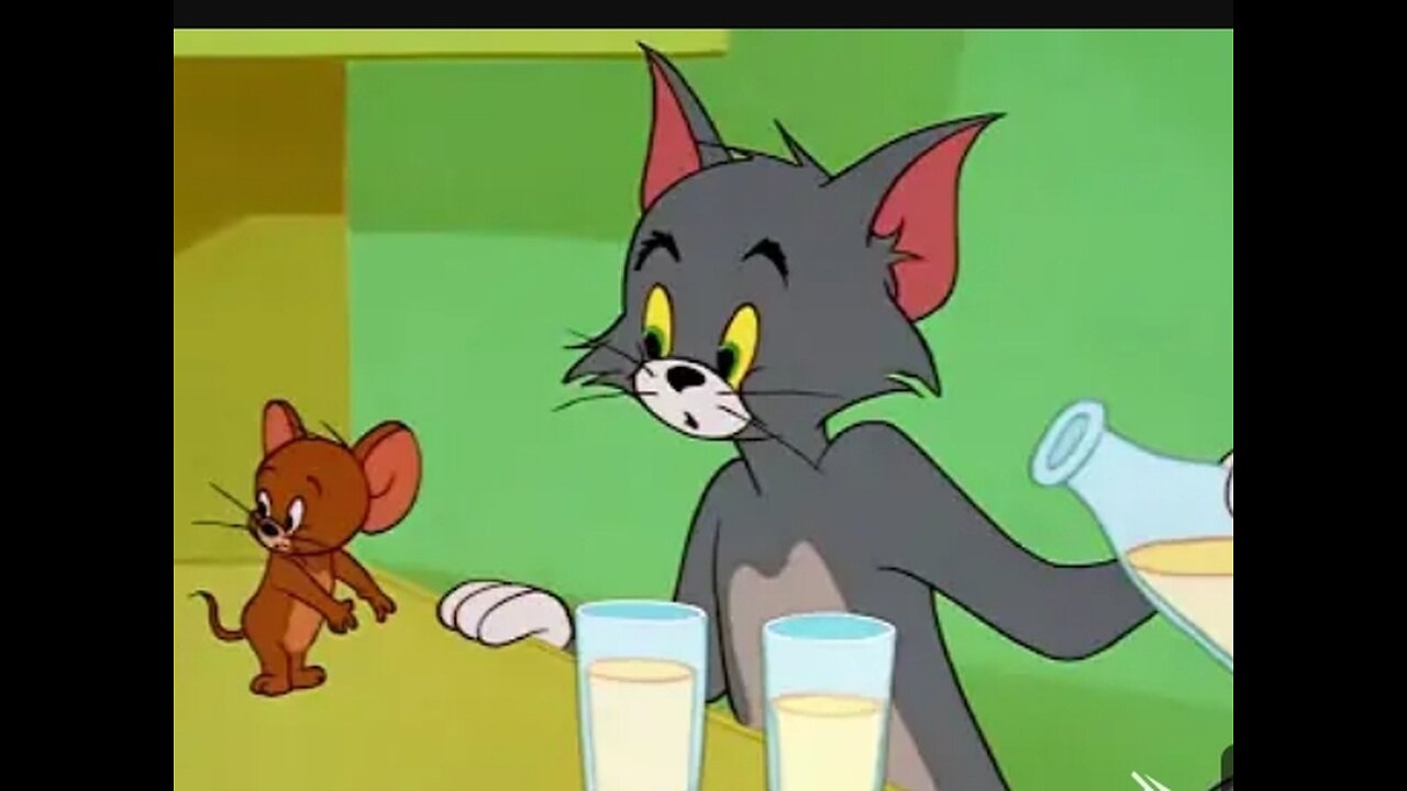 Tom & Jerry Cartoon