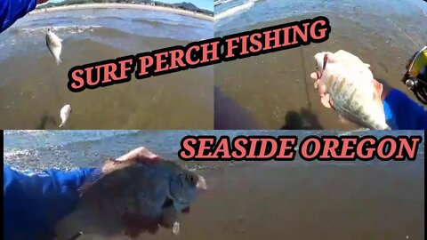 SURF PERCH FISHING SEASIDE OREGON🇺🇸/ CATCH AND RELEASE 🐟🐠🐡