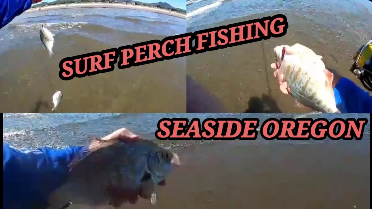 SURF PERCH FISHING SEASIDE OREGON🇺🇸/ CATCH AND RELEASE 🐟🐠🐡