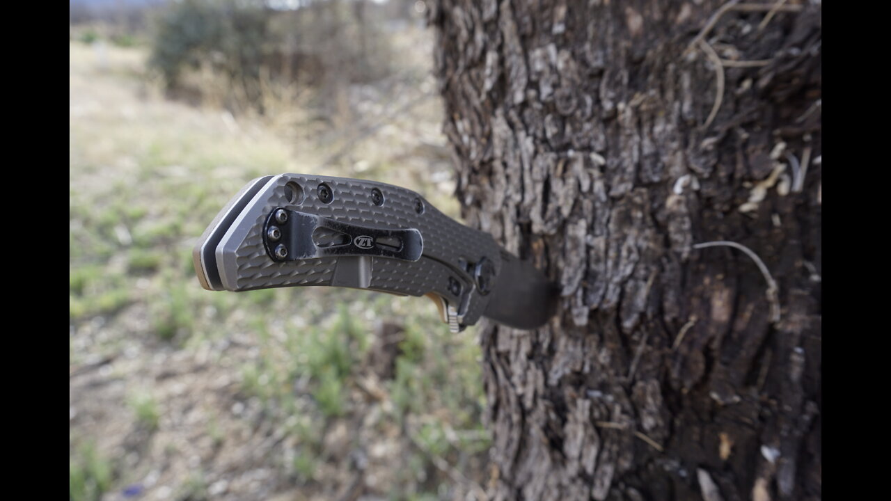 ZT 308 Review