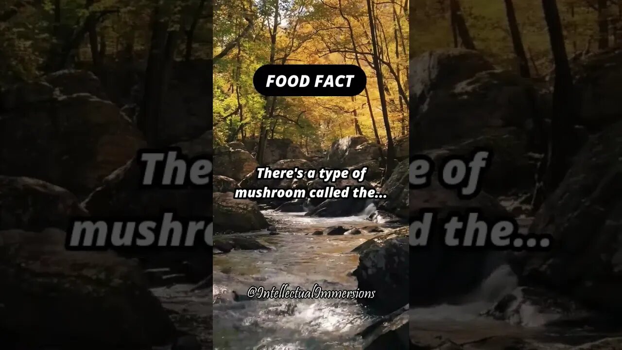 Food Fact. #shorts #mushroom #chicken #woods