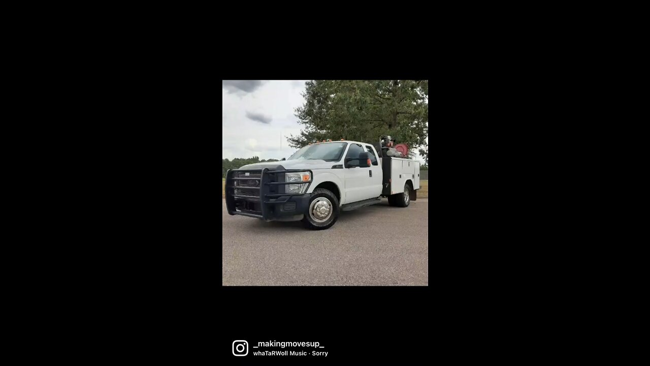 She’s Gone