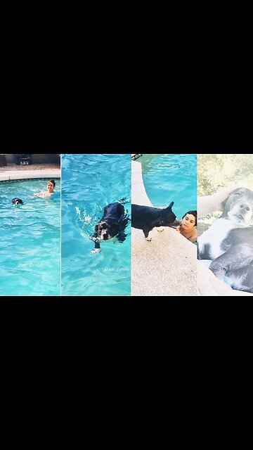 Making the most of summer afternoons 🌞🏊‍♂️ #FamilyTime #SwimTime #DogLife #SummerFun