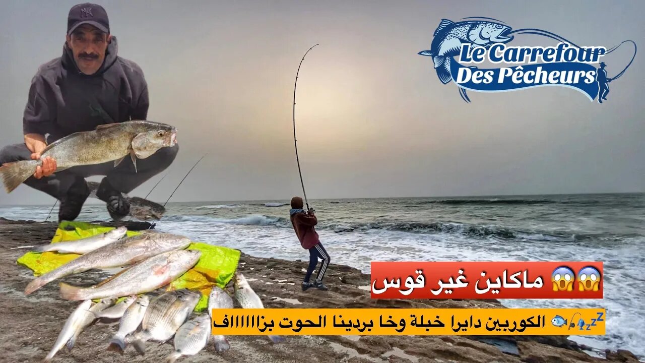 هجوم اسماك الكوربين و الدبدوب باعداد كبيرة على مصيد العين البيضة - فراجة ولا في الاحلام 🐟💤🎣🎣🐟