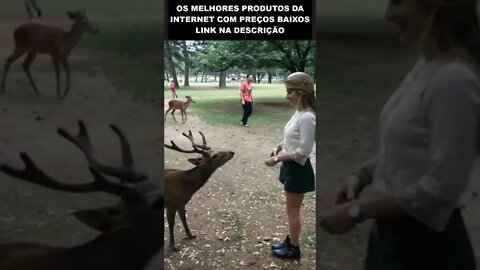 Educação não tem espécie 👏👏