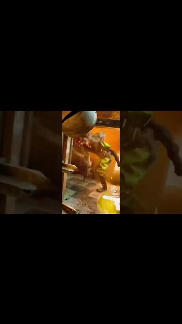 Half Life Alyx Jeff Clips that got me banned on TikTok Gaming VR Clips Compilation Zombies Aliens