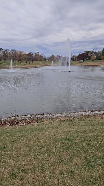 My Peaceful Place - Fruit Bats