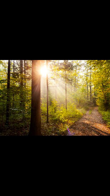 unity beyond duality