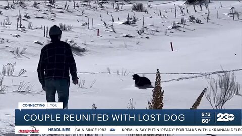 Couple reunited with lost dog