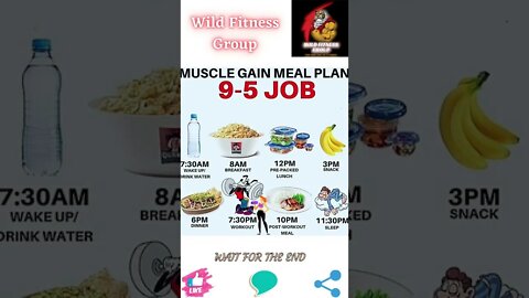 🔥Muscle gain meal plan🔥#shorts🔥#wildfitnessgroup🔥27 August 2022🔥