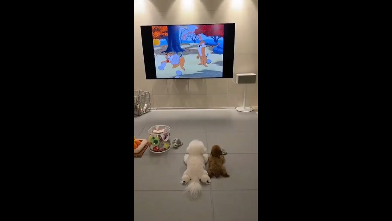 Dogs watching cartoons! #doglover #dogsoftiktok #cutepets