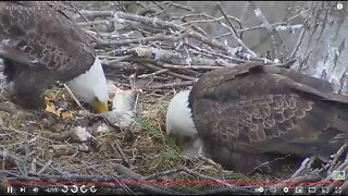 Hays Bald Eagles Dad's Buffet of Fish 2022 04 01 19 18 09 887