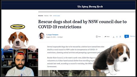 KILLING PUPPIES In The Name Of COOF Restrictions | Australians Have Lost Their Minds!