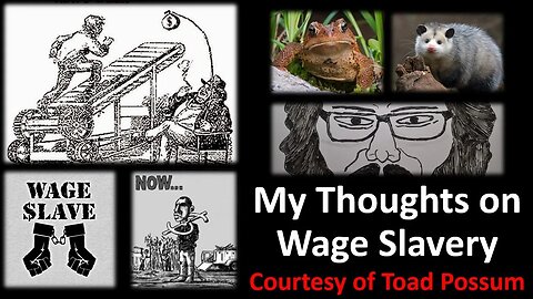 My Thoughts on Wage Slavery (Courtesy of Toad Possum)