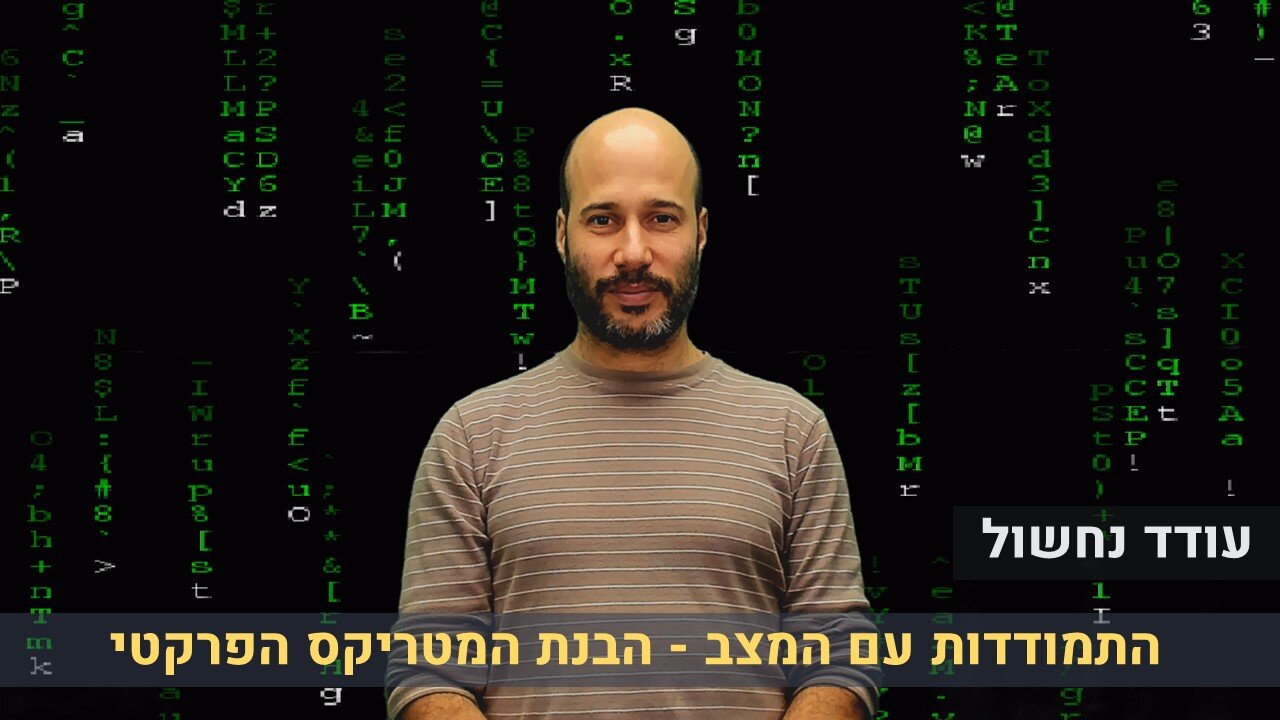 עודד נחשול | התמודדות עם המצב - הבנת המטריקס הפרקטי