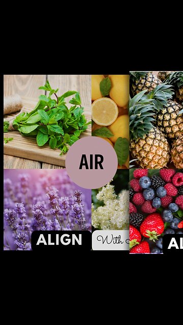 Align Skincare - Earth, Fire, Water, Air