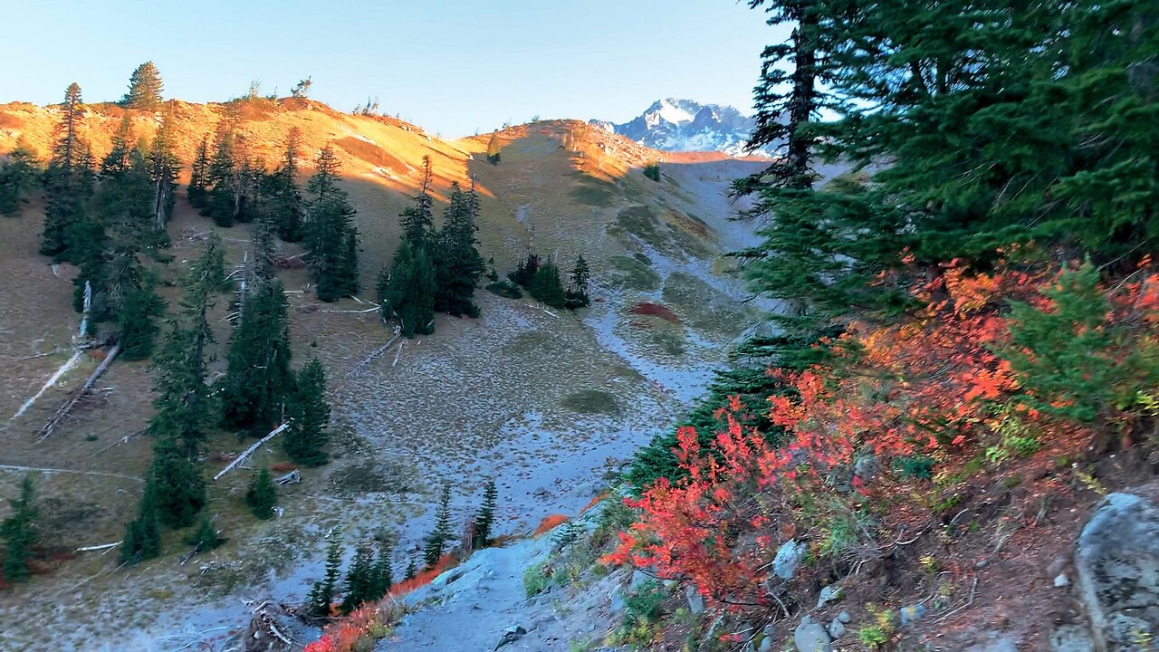 BITE-SIZED WILDS | Descending a GORGEOUS Alpine Canyon @ Mount Hood! | Timberline Loop | Oregon | 4K