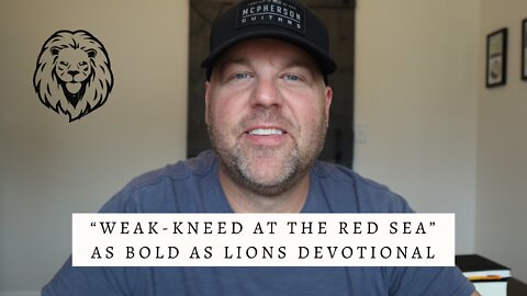 Weak-kneed At The Red Sea | AS BOLD AS LIONS DEVOTIONAL | July 8, 2022