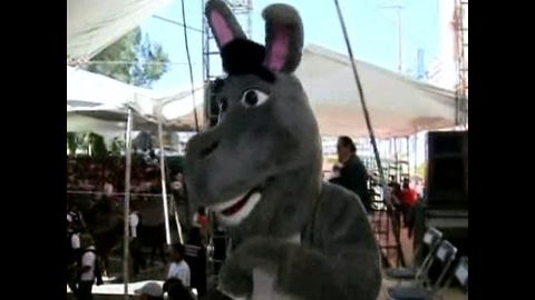 Donkey Festival