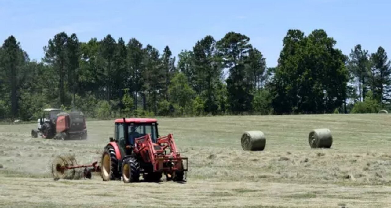 Tractors, Hay Bales, Teamwork, Classism, Nepotism, Ideology & Politics