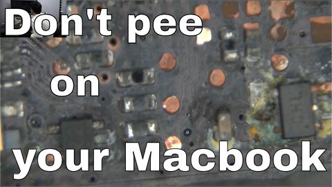 Don't pee on your Macbook!