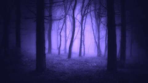 Relaxing Fantasy Music - Shadowleaf | Peaceful, Soothing, Beautiful ★193