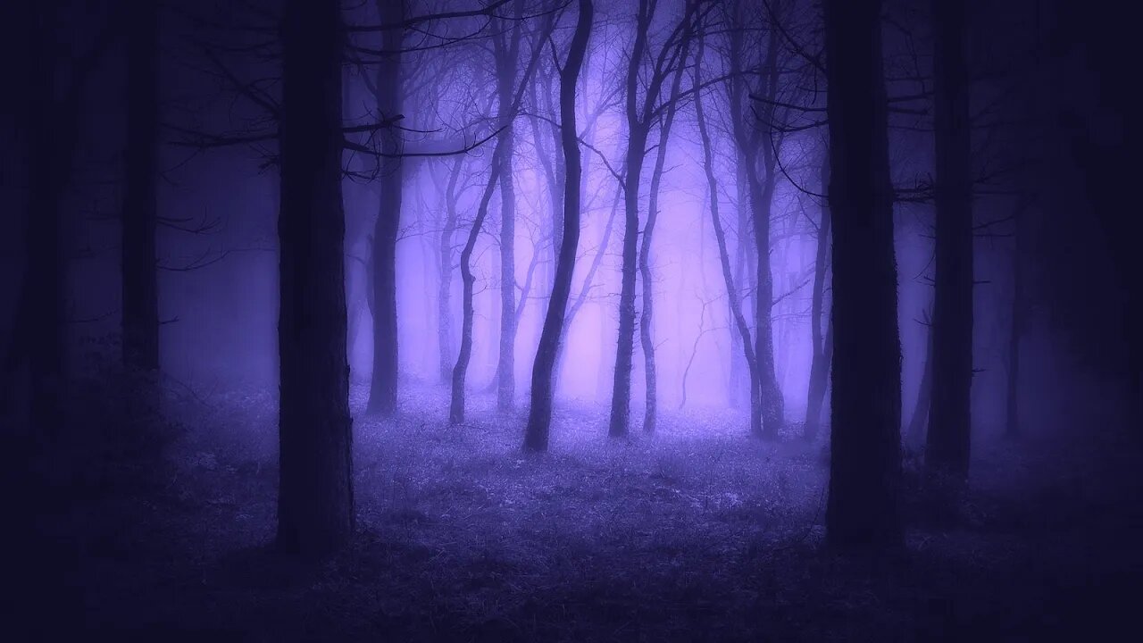 Relaxing Fantasy Music - Shadowleaf | Peaceful, Soothing, Beautiful ★193