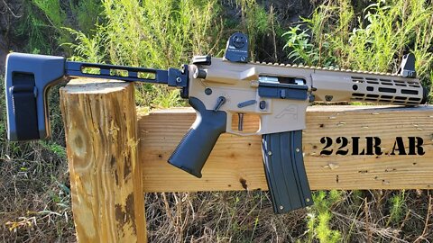 It ate EVERYTHING! 22LR AR is done. My New FAVORITE!!