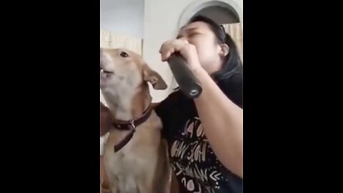 Dog can sing as good as his Fur Mom