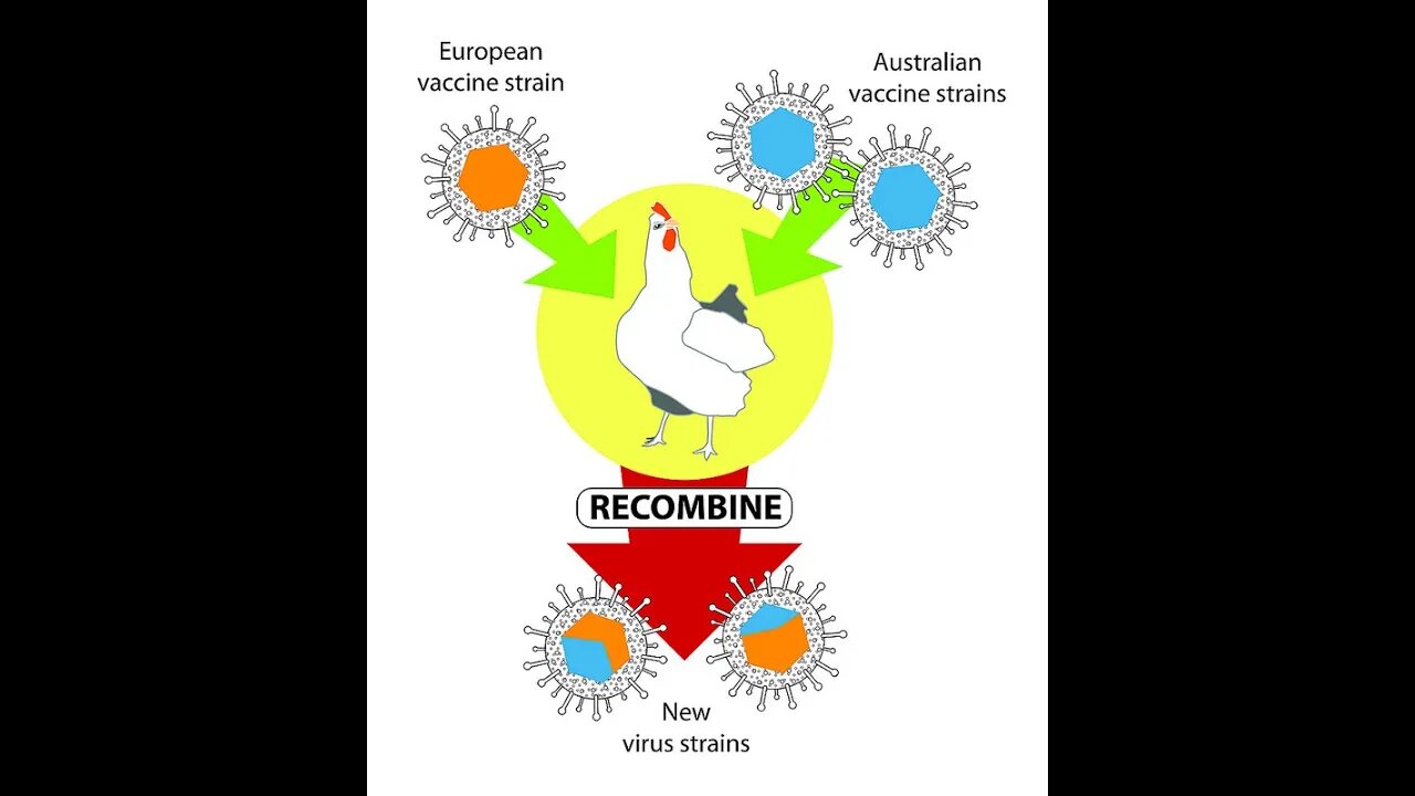 두 얼굴의 백신, 스튜어트 블룸, 전염병 유행, 공포의 조장, 스페인 독감,모기, 황열, 지카 바이러스, 길랭바레증후군, pandemic, panic