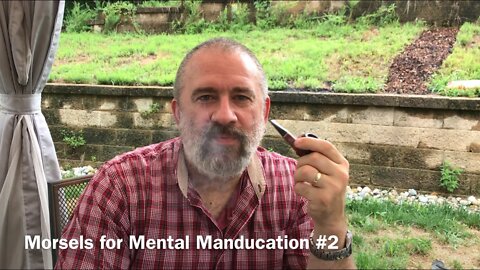 Morsels for Mental Manducation #2