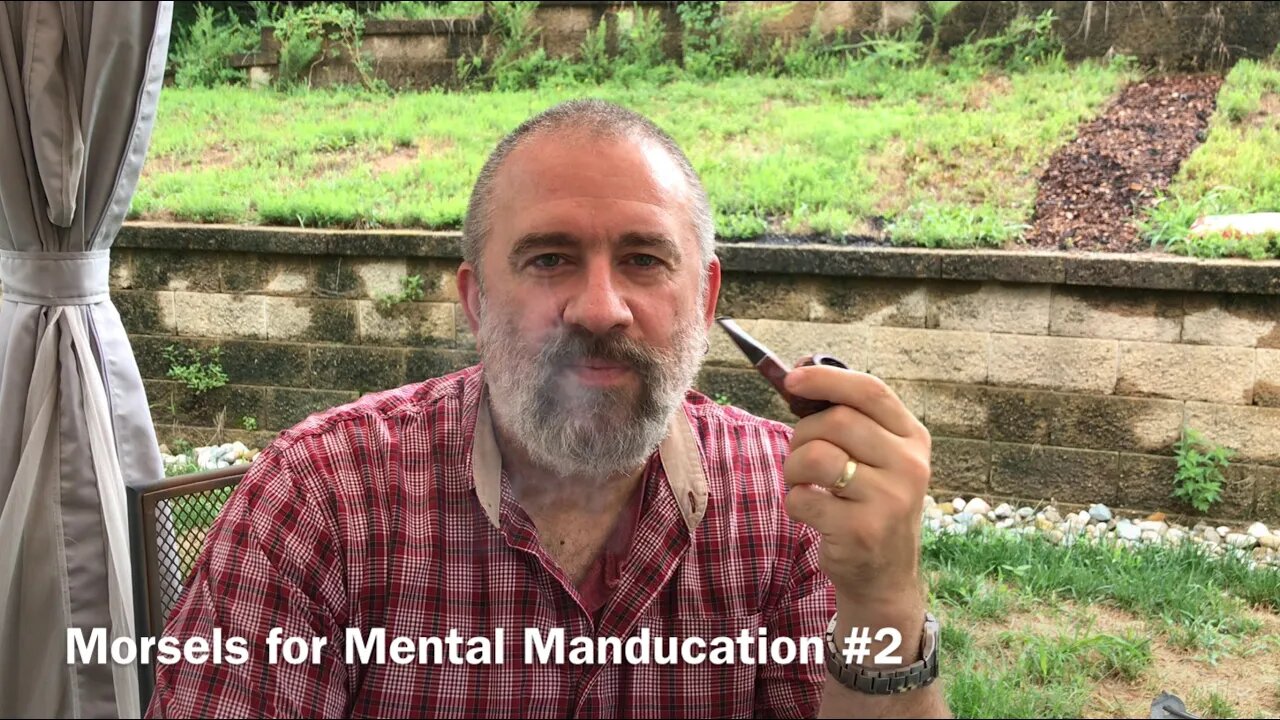 Morsels for Mental Manducation #2