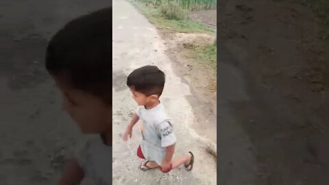 vlog dog with child #rudrakrishna #ytshorts #dog #dogshorts #trending @rudrakhatanagurjjar