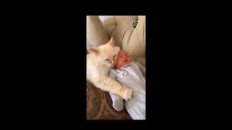 Funny Baby and Cats 🥰 Funny Cat Videos(Hilarious) #shorts #cutebaby