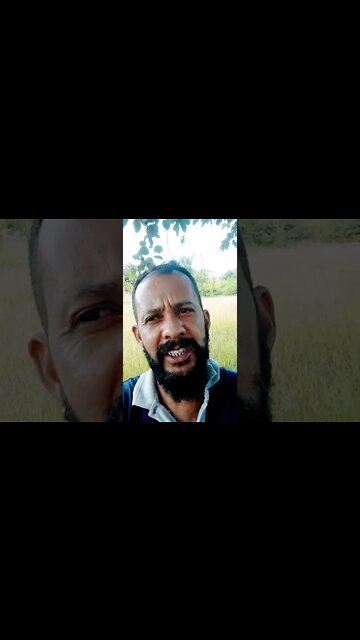 Budismo e outras religiões