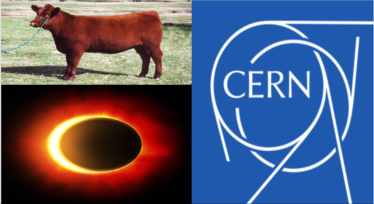 The RED HEIFER - The Black Sun Eclipse & CERN