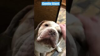Wanna Shake Hands?