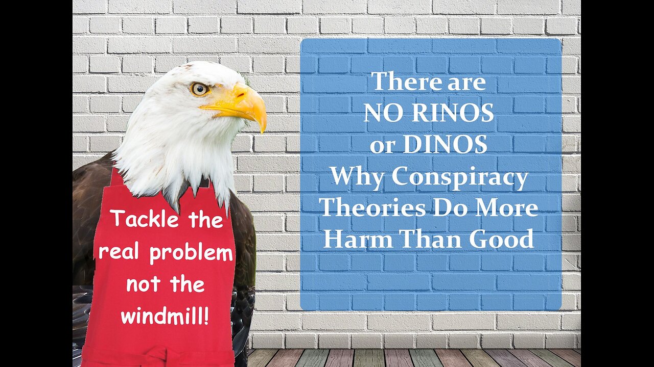 There are NO RINOS or DINOS - Why Conspiracy Theories Do More Harm Than Good