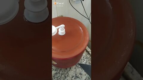COMO ACABAR COM OS MOSQUITINHOS DO FILTRO DE BARRO