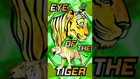 eye of the tiger #animal #tiger #musicnft