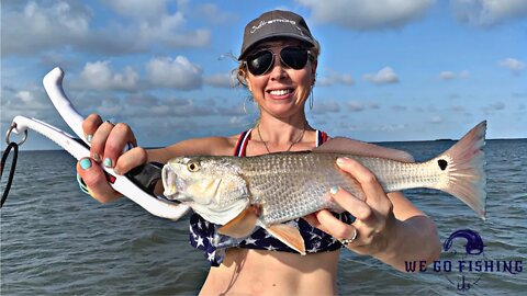 Early Summer Flats Fishing with Live Shrimp